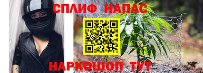 индика Бузулук