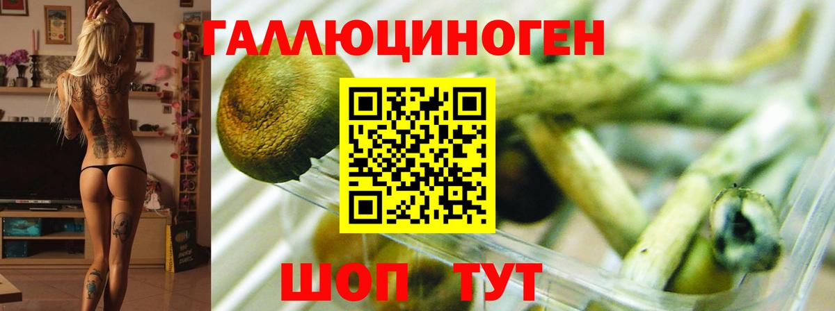 Галлюциногенные грибы MAGIC MUSHROOMS  Вход с VPN  Реж 